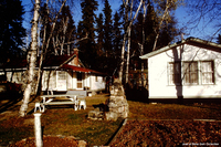 C. C. Sparling's Cottage Denare Beach 1984