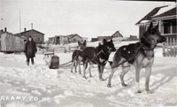 Cranberry Portage Dogsled Team