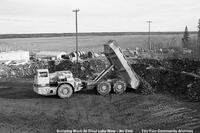 Trout Lake Mine