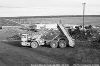 Trout Lake Mine