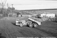 Trout Lake Mine