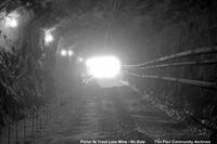 Trout Lake Mine