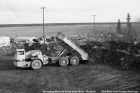 Trout Lake Mine