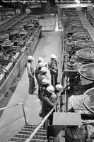 The Mill Flotation Cells