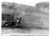 Police Dog, Karl