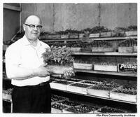  Andy Kachute Market Garden 70's