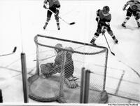 Youth Hockey