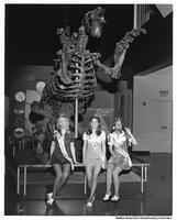 1973 Queen Mermaids