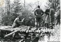  Militia 