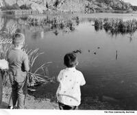 Duck Pond 