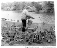  Georgina Peake Feeding Birds 1980's