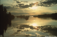 Lake Scene