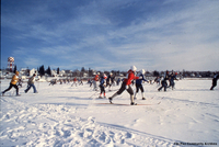 Skiing 