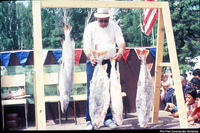 Prize Trout Entrants
