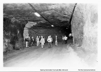  Trout Lake Mine ..........