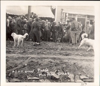 R.C.M.P. Arrest Phillips .......