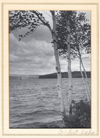 1017221 Schist Lake