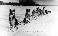 1004827 Dog Sled Team.jpg