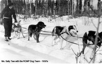 1004828 Dog Team - 2.jpg