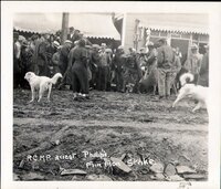Phillips Arrest