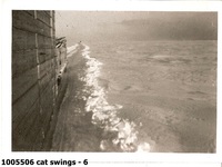 cat swings - 6