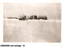 cat swings - 8