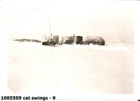  cat swings - 9