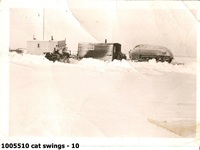  cat swings - 10