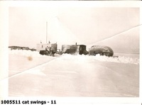 cat swings - 11