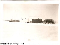  cat swings - 12