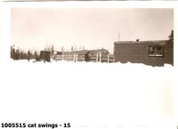 cat swings - 15