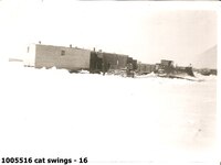  cat swings - 16