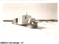  cat swings - 17