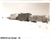 cat swings - 18