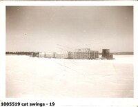  cat swings - 19