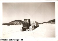  cat swings - 21