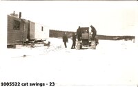cat swings - 23