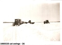  cat swings - 26