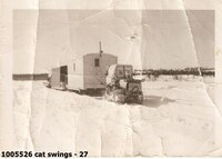  cat swings - 27