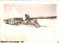 cat swings - 28