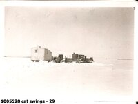  cat swings - 29