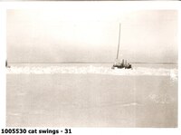  cat swings - 31