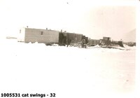  cat swings - 32