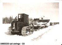  cat swings - 33