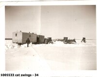  cat swings - 34