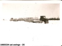  cat swings - 35