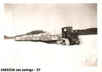  cat swings - 37