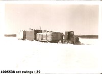  cat swings - 39