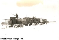 cat swings - 40
