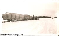 cat swings - 41